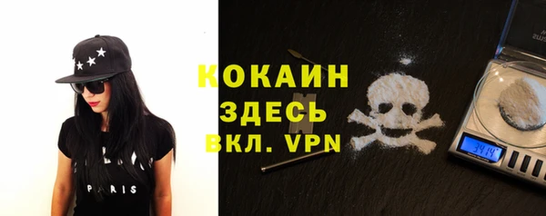 прущие грибы Наволоки
