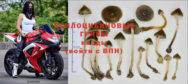 mix Абаза