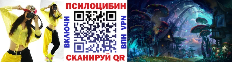 где можно купить наркотик  omg маркетплейс  Галлюциногенные грибы GOLDEN TEACHER  Южа 